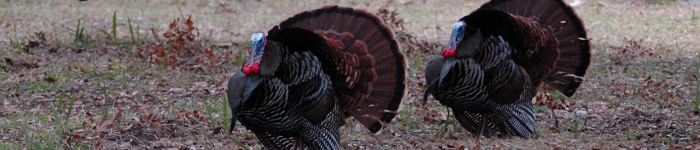 Scott Ryan Spivey Obituary September 9, 2023 Inman Ward Funeral